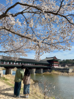 https://thecheat.co.kr/fs_sbl/member/2025/05/13/0e23806b57155a662804657f4bc24420.png