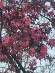 프로필 사진