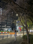 프로필 사진