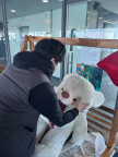 프로필 사진