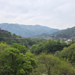 프로필 사진