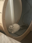 프로필 사진