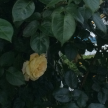https://thecheat.co.kr/fs_sbl/member/2025/05/25/376cabaa9411786c719469bf6c19ef09.png
