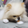 프로필 사진