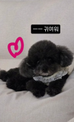 https://thecheat.co.kr/fs_sbl/member/2025/05/29/59b22600480bc4c645690b6fa0a00267.png