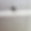 https://thecheat.co.kr/fs_sbl/member/2025/05/30/285798535df54250ba584f89218468ac.png