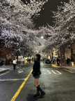 https://thecheat.co.kr/fs_sbl/member/2025/05/30/5615f2c8cc8d9db7ee18dccfc1e8df81.png