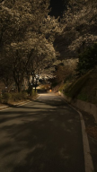 프로필 사진