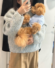 프로필 사진