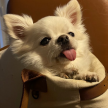 프로필 사진