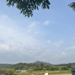 프로필 사진