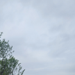https://thecheat.co.kr/fs_sbl/member/2025/06/07/8b5b3bdd615d7e9045a38eb413e41732.png