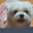 프로필 사진