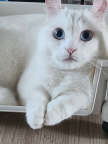 프로필 사진