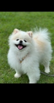 https://thecheat.co.kr/fs_sbl/member/2025/06/12/2bb7b713cd25dd6c6d117cd9c162674d.png