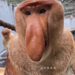 프로필 사진