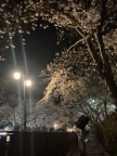 프로필 사진