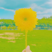 프로필 사진