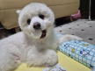 프로필 사진