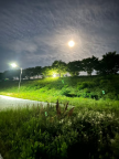 프로필 사진
