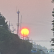 프로필 사진