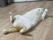 프로필 사진