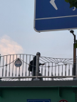 프로필 사진
