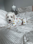 https://thecheat.co.kr/fs_sbl/member/2025/06/20/68ef780cbd96211a5645540016ee9100.png