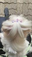 프로필 사진