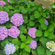 프로필 사진