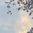 프로필 사진