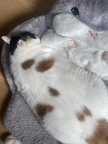 프로필 사진