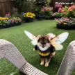 프로필 사진