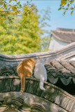 프로필 사진