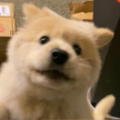 프로필 사진