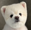 프로필 사진