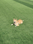 https://thecheat.co.kr/fs_sbl/member/2025/06/30/95ecfb40fc88816358ff515cc5437366.png