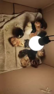 프로필 사진