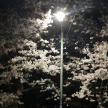 프로필 사진