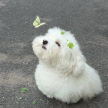 프로필 사진