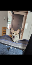 프로필 사진