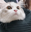 프로필 사진