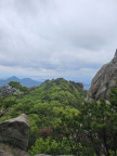 프로필 사진