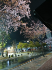 프로필 사진