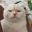 프로필 사진