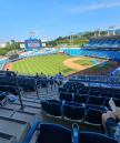프로필 사진