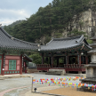 프로필 사진