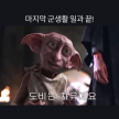 프로필 사진