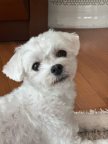 https://thecheat.co.kr/fs_sbl/member/2025/07/14/bb00420748267e5bf459e50ce59a4413.png