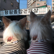 프로필 사진